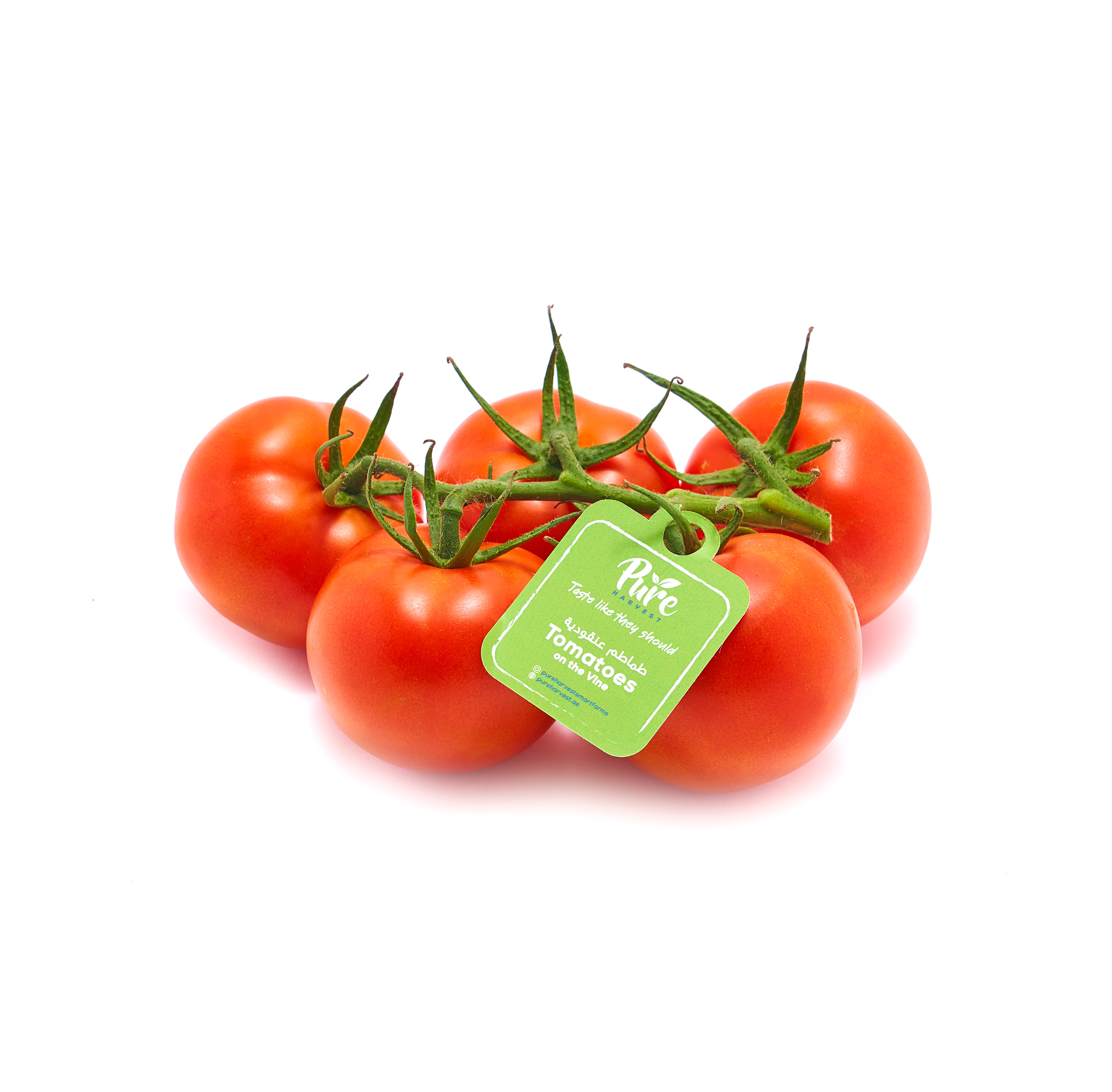 Tomatoes on-the-vine